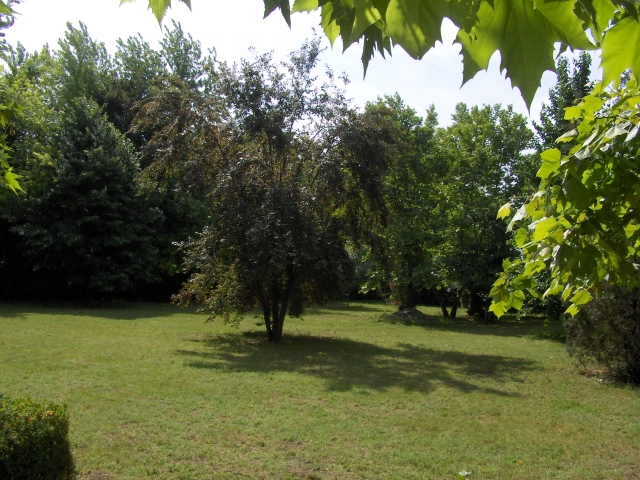 Csanád Vezér Emlékpark